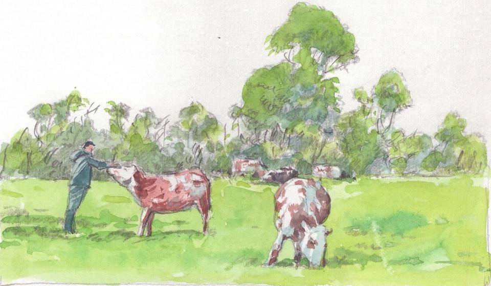 un éleveur avec ses vaches dans un bocage entretenu